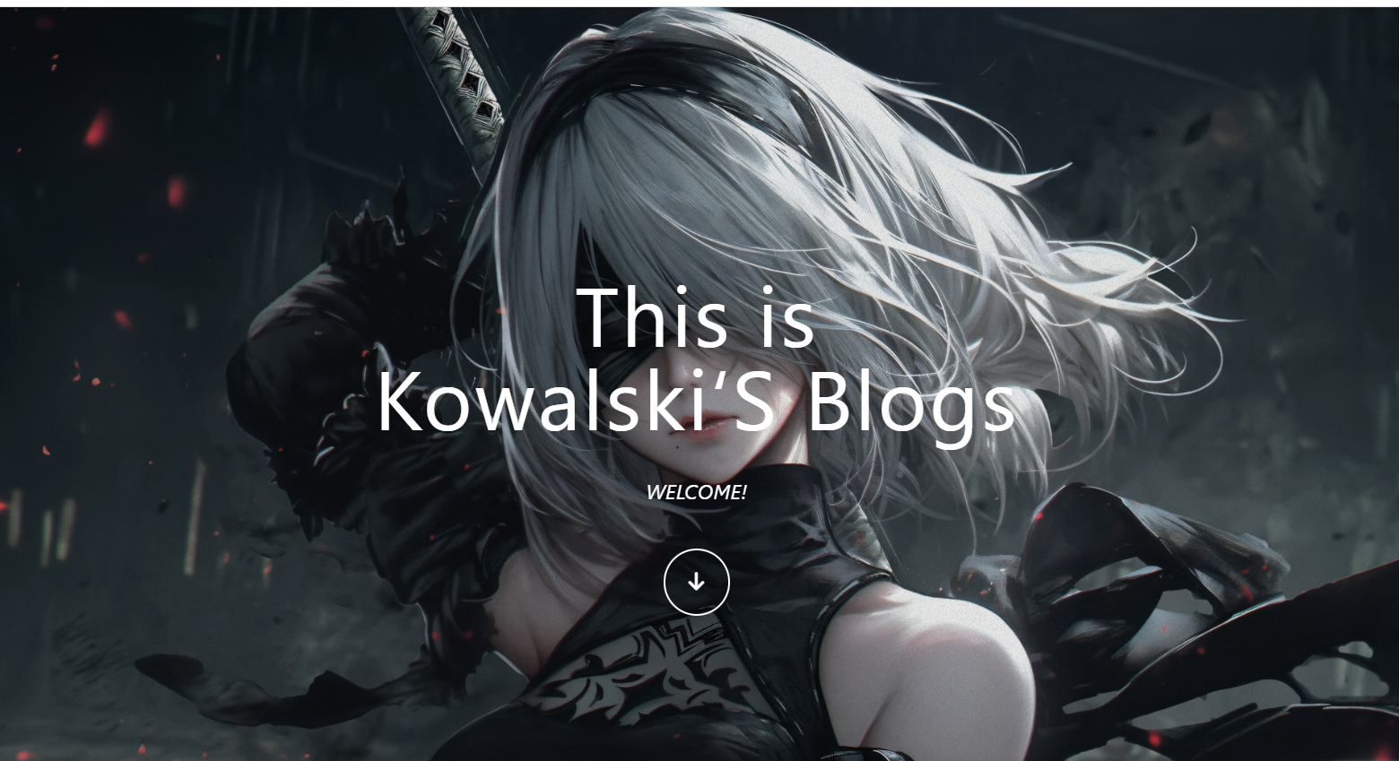 image-20240821223619054